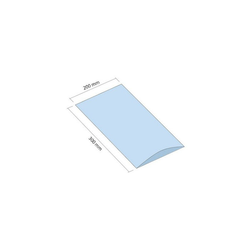 Woreczek LDPE 200x300 mm grubość 30 mikrometrów 500 sztuk