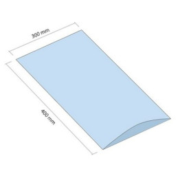Woreczek LDPE 300x400 mm grubość 30 mikrometrów 250 sztuk