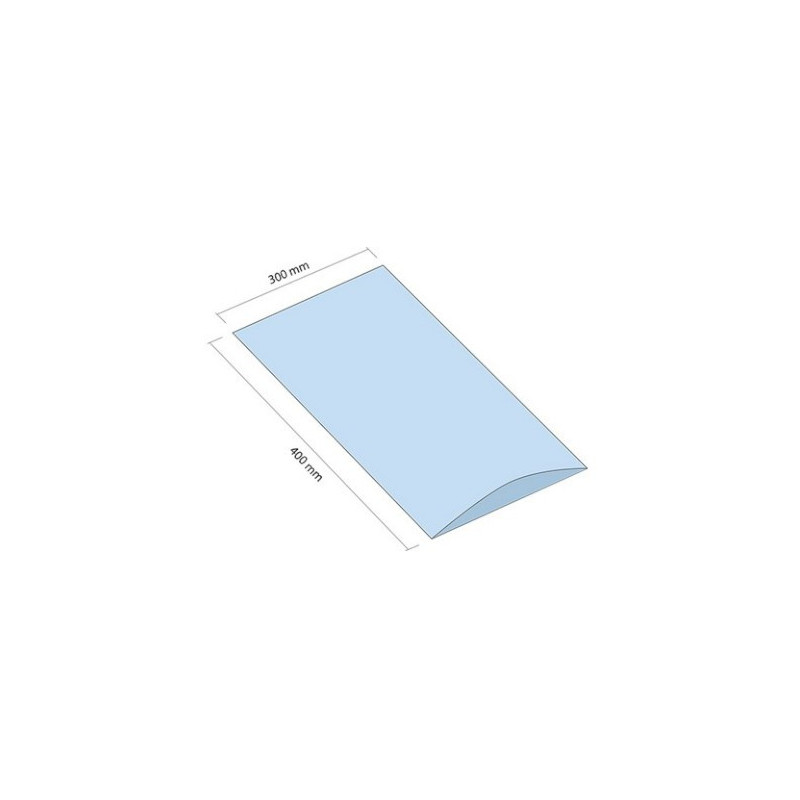 Woreczek LDPE 300x400 mm grubość 30 mikrometrów 250 sztuk