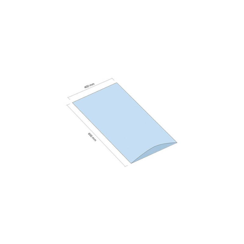 Woreczek LDPE 400x600 mm grubość 30 mikrometrów 250 sztuk