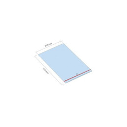 Woreczek strunowy ZIP 200x300 mm 100 sztuk