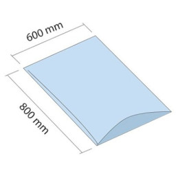 Worek LDPE 600x800 mm grubość 100 mikrometrów 200 sztuk